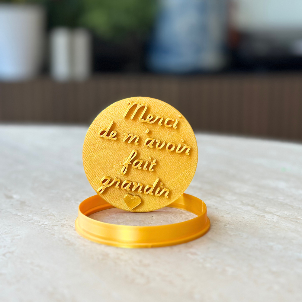 Merci Mora  - Merci de m'avoir fait grandir